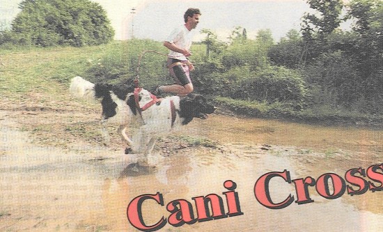 cani-cross-2.jpg