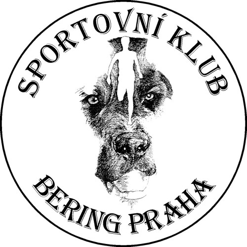 logo_bering--1-.jpg